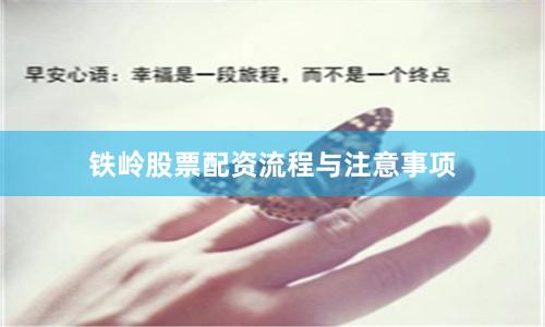 铁岭股票配资流程与注意事项