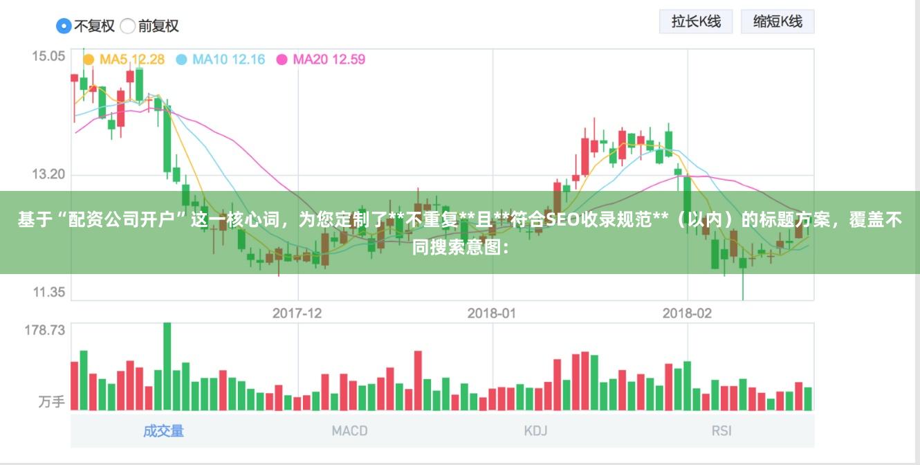 基于“配资公司开户”这一核心词，为您定制了**不重复**且**符合SEO收录规范**（以内）的标题方案，覆盖不同搜索意图：